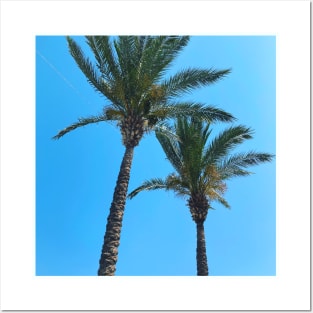 Pretty picture of a Palm Tree. Pretty Palm Trees Photography design with blue sky Posters and Art